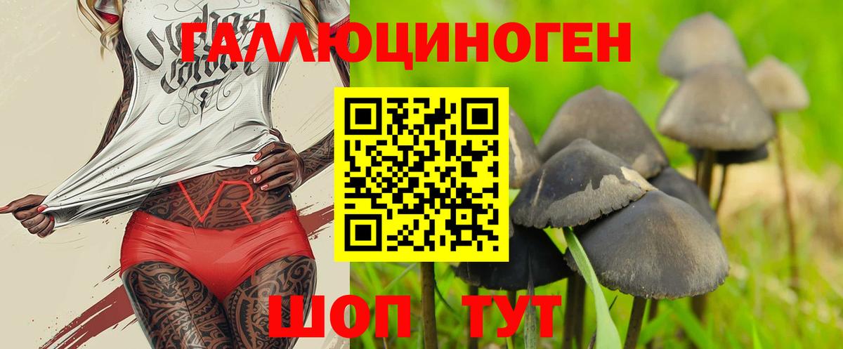 как найти закладки  Псилоцибиновые грибы MAGIC MUSHROOMS  Ярцево  Псилоцибиновые грибы мицелий 