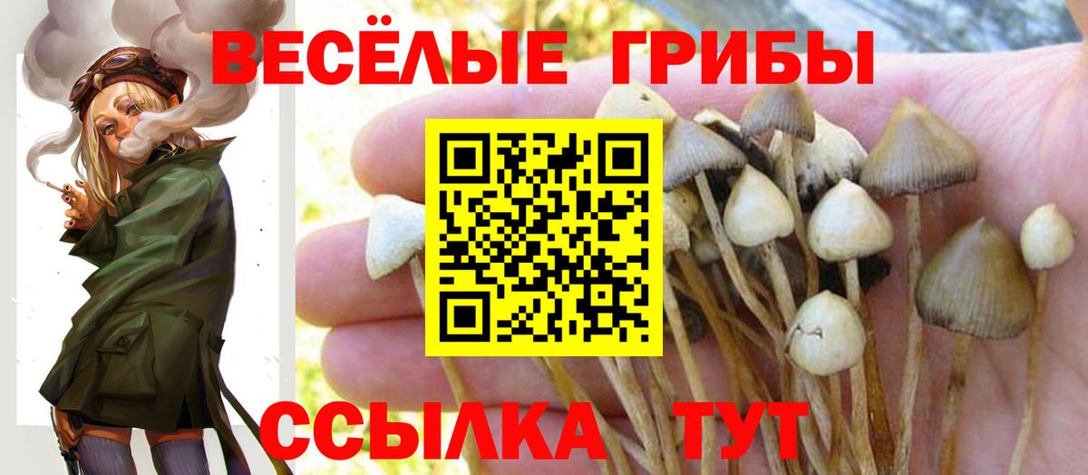 Галлюциногенные грибы ЛСД  Вход с VPN  Ярцево  Галлюциногенные грибы Cubensis 