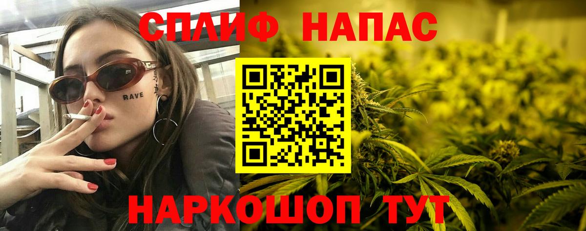 Канабис сатива Ярцево